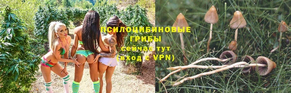 прущий лед Краснослободск