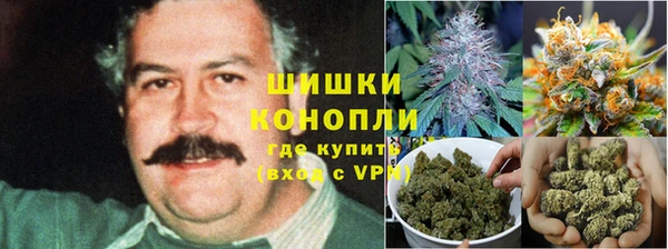 прущий лед Краснослободск