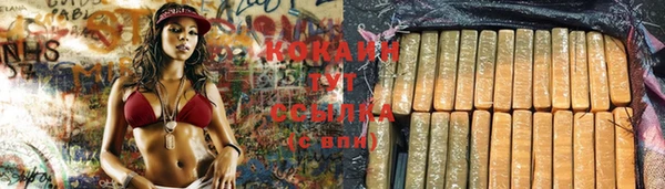 прущий лед Краснослободск