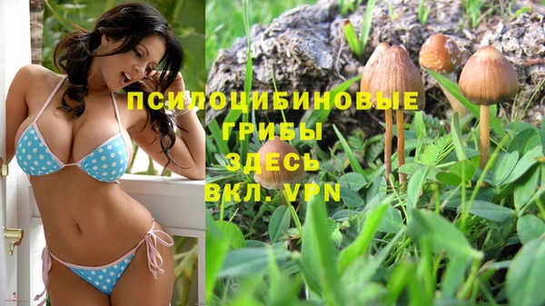 дмт Краснотурьинск
